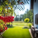 Villa Wrony27a Wrony