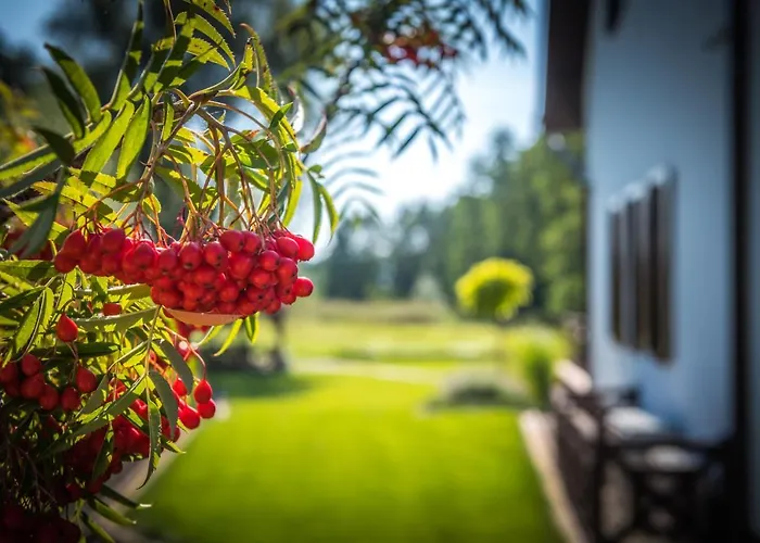 Villa Wrony27a Wrony